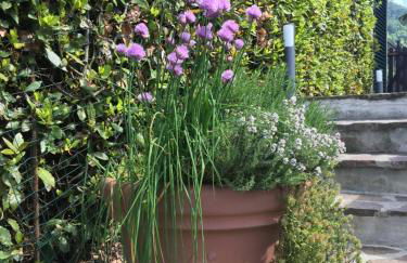 casa pietra del sole - Foto 84