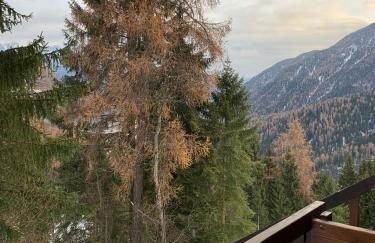 Lacasinapungitopo - Photo 23