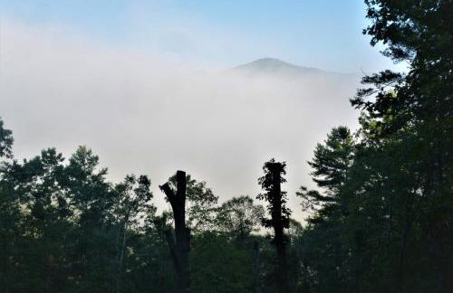 Smokies Overlook Lodge - Foto 69
