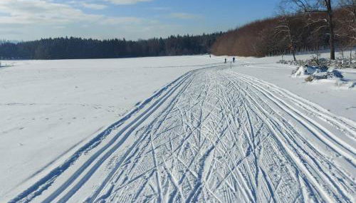 Ferienwohnung - Landhotel Waldschlößchen - Foto 3
