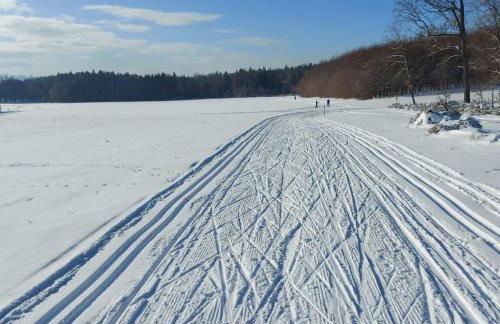 Ferienwohnung - Landhotel Waldschlößchen - Foto 3