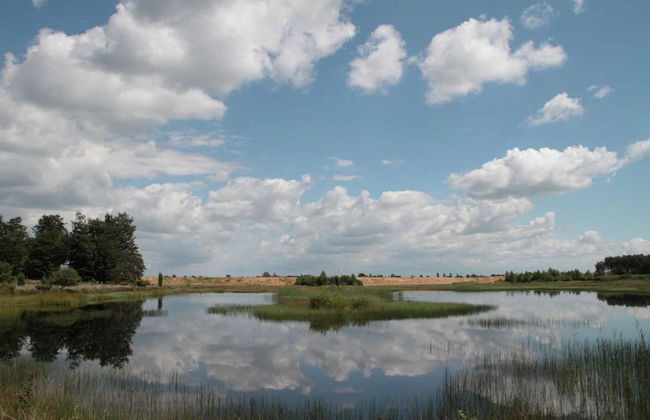 Cottage in Dwingelderveld With Scenic Views - Foto 42