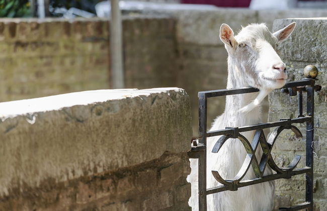 Cosy Flat in South Limburg Near Maastricht - Foto 43