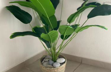 Tsachaki Apartment Pigi Rethymno - Foto 19