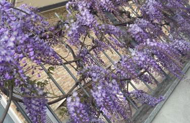 Casa di Ercolino - Foto 73