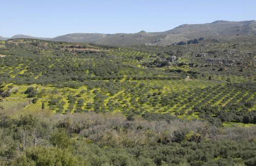 Aspasia's House - Foto 75