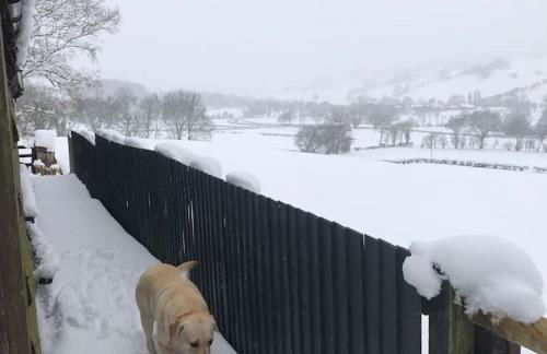 The Retreat - Foto 16