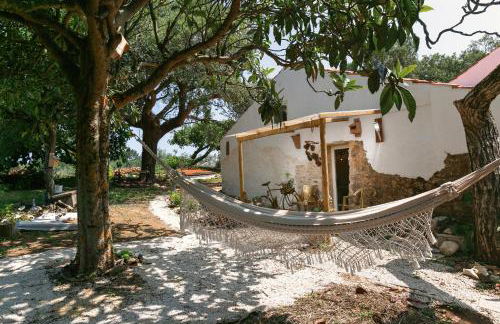 Pátio Serrano - Foto 55