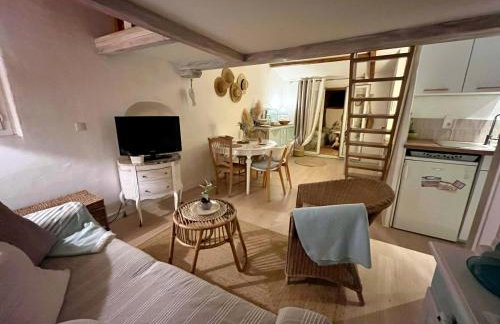 Joli cocon sous les toits au cœur de Vence et sa charmante terrasse tropezienne - Foto 16