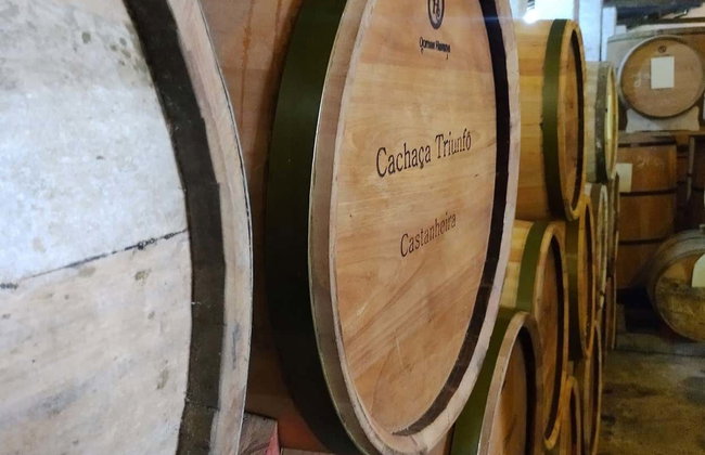 Tour cultural por el Agreste Paraibano - Foto 7