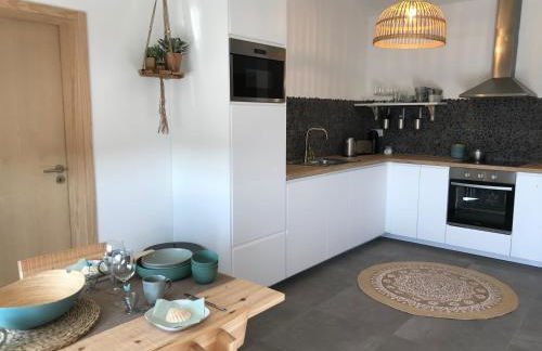 Bico das flores - Foto 20