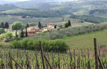 Agriturismo Podere la Cava - Foto 13