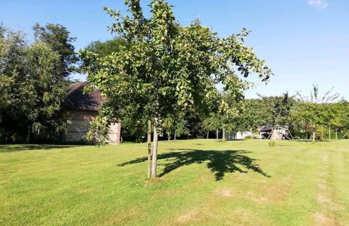 Le Pressoir de Cour la Ville - Foto 6