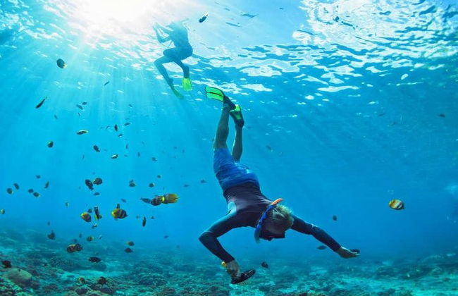 Incrível tour de snorkeling de dia inteiro para Cozumel Cielo Starfish Reef - Foto 5