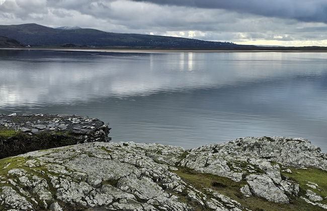 Log Cabin - Free Parking, Garden & pet Friendly - Photo 10