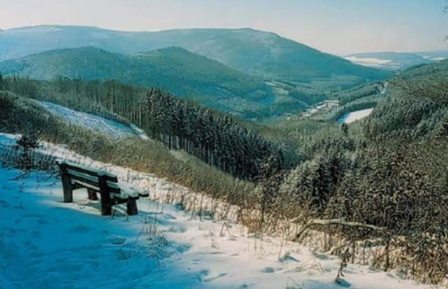 Gemutlicher Ruckzugsort in Olsberg-elpe - Foto 39