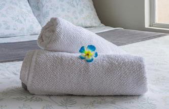 PALMAS EXPERIENCE - APARTAMENTO BRISA, no centro, vista lago! - Photo 17