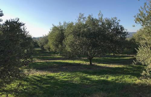 Le Grand Bouteillan - Foto 38