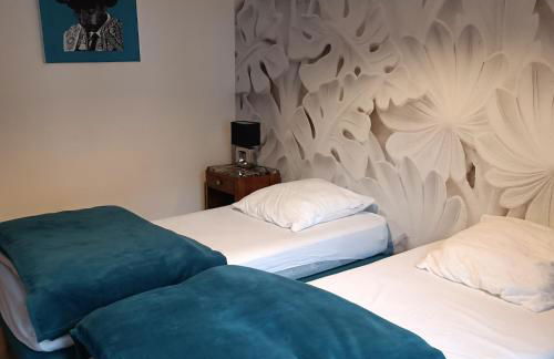 Au 66 Maison centre ville-Parking gratuit et WIFI - Foto 22