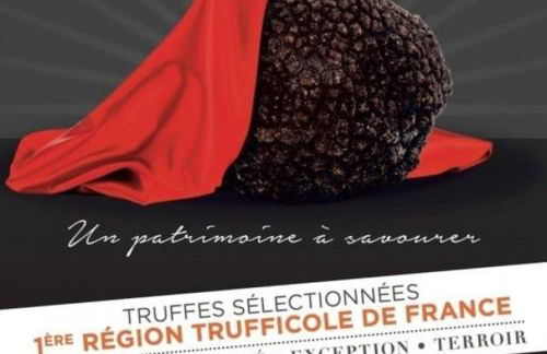 Le Patio 4*. SPA, jardin, piscine en provence, proche Grignan - Foto 63