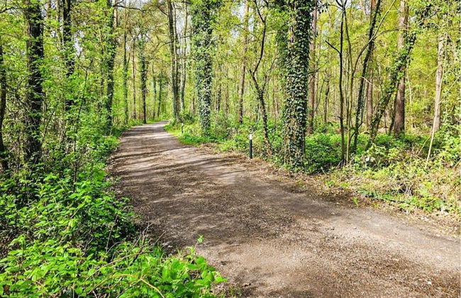 Farmhouse in Geesteren Near Forests - Photo 34