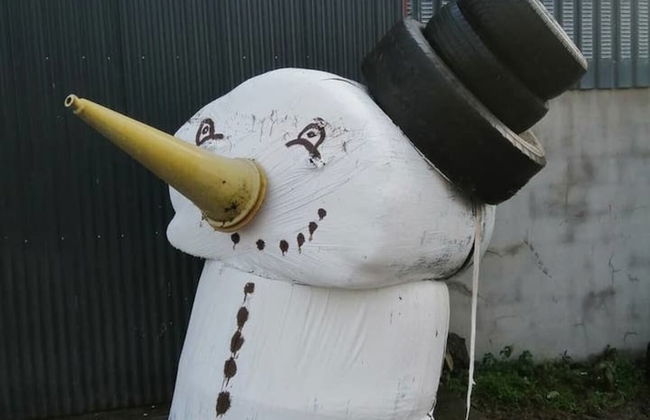 Midden Manor Country Stay on a Working Dairy Farm - Foto 8