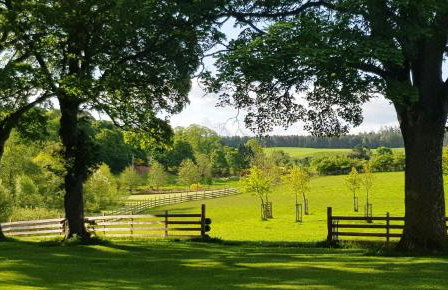 Marcassie Farm Lodges - Ash Studio - Foto 10