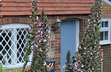 Cute cob cottage - Photo 6