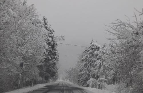 Ristoro la Verna, appartamenti in affitto - Foto 67