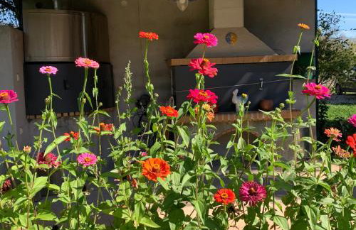 Aelias home - Foto 28