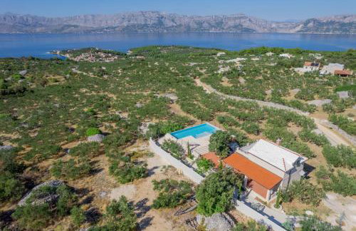 Olive Park House Brač - Photo 9