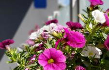 Apartment Lara - Photo 33