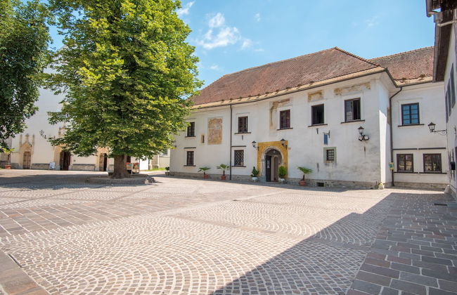 Vila Radolca Apartments and Rooms - Foto 46