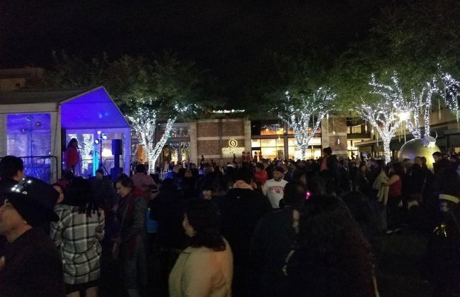 Luxury Living at City Center Houston - Photo 42