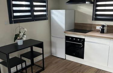 Chez Annick, studio proche tram, Groupama Stadium, LDLC Arena - Foto 21