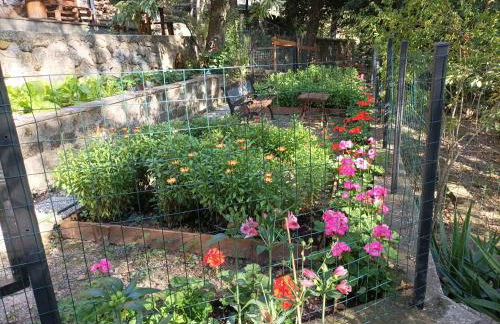 Casa dei Faggi - Foto 21