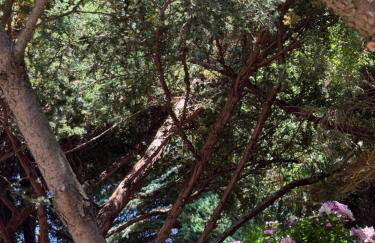 Apartament Skórcz Kociewie Pomorze Gdańskie Agroturystyka - Foto 46