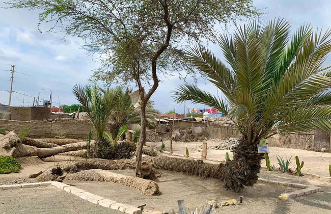 Tour en tuk tuk por Ica + Buggy en Huacachina - Foto 7