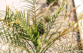 Alonia View House - Foto 44