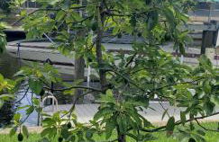 Tropical Getaway! Gulf access & heated pool! - Foto 27