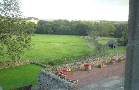 Yellow House - Foto 27