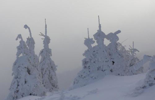 Apartamenty DobraNocka - Foto 71