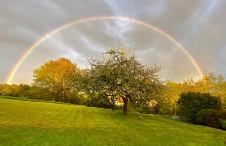 Ferienwohnung Dörrwies - Foto 24