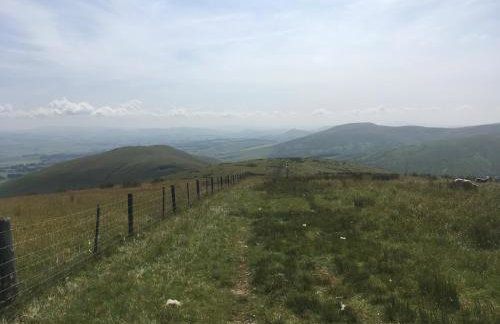 Garden Retreat - Foto 13