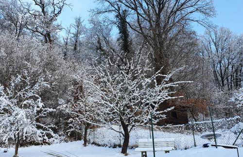2 Zimmer Domizil am Südhang mit Terrasse und Pool - Foto 43