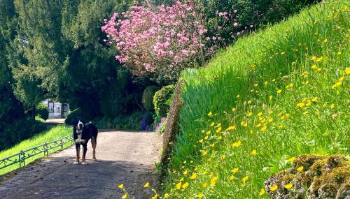 Haus Haselmaus - Zaunkönig - Foto 4