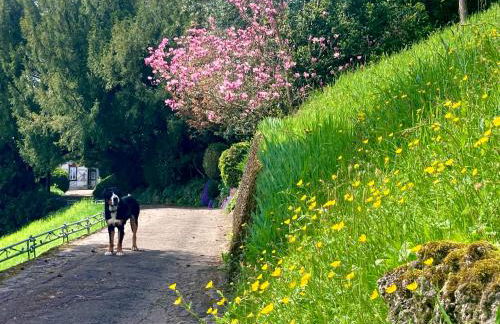 Haus Haselmaus - Zaunkönig - Foto 4