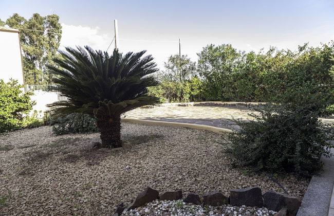 Aria Di Vacanza - Mirtillo COD 9 - Photo 16