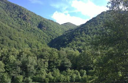 Apartamentos Rurales L´Abiseu - Photo 80