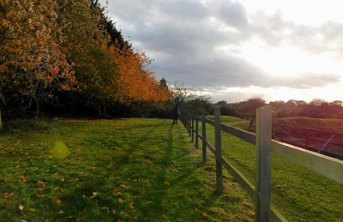 The Paddocks - Foto 16